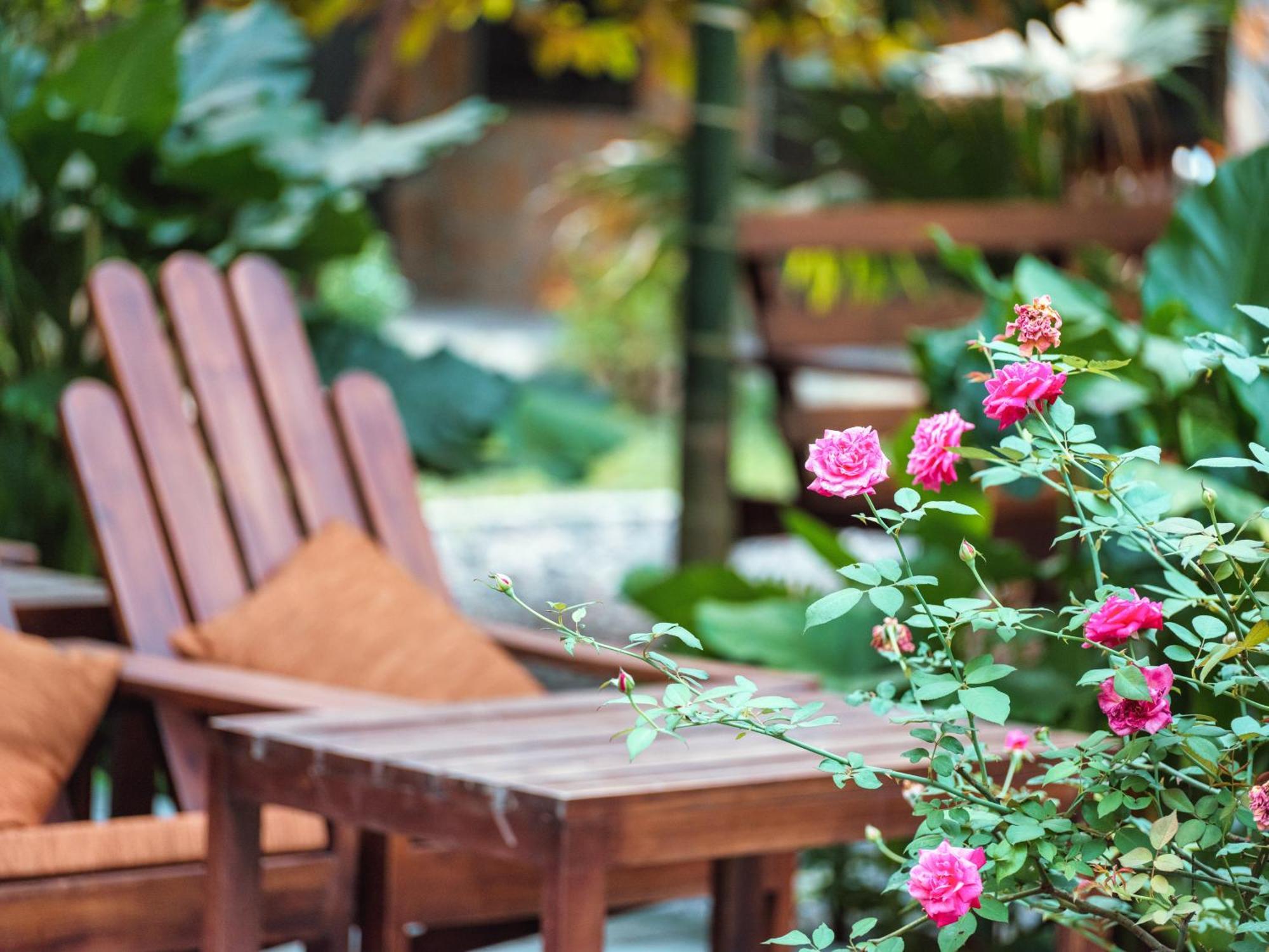 Cozy Beer Garden Homestay Ninh Binh Exterior photo
